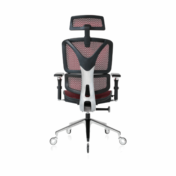 ErgoPro/Chair