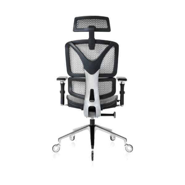 ErgoPro/Chair