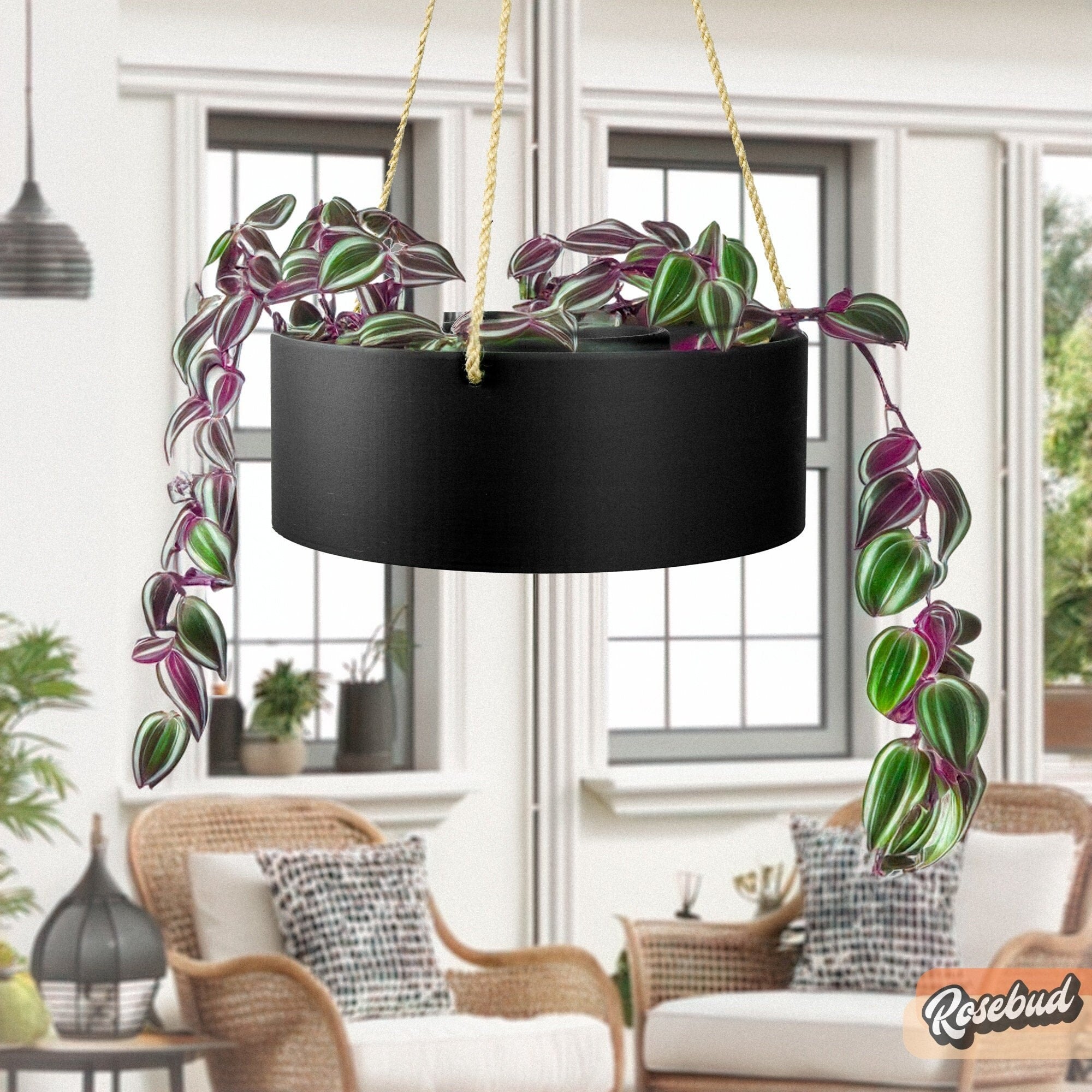 Hanging/Planter