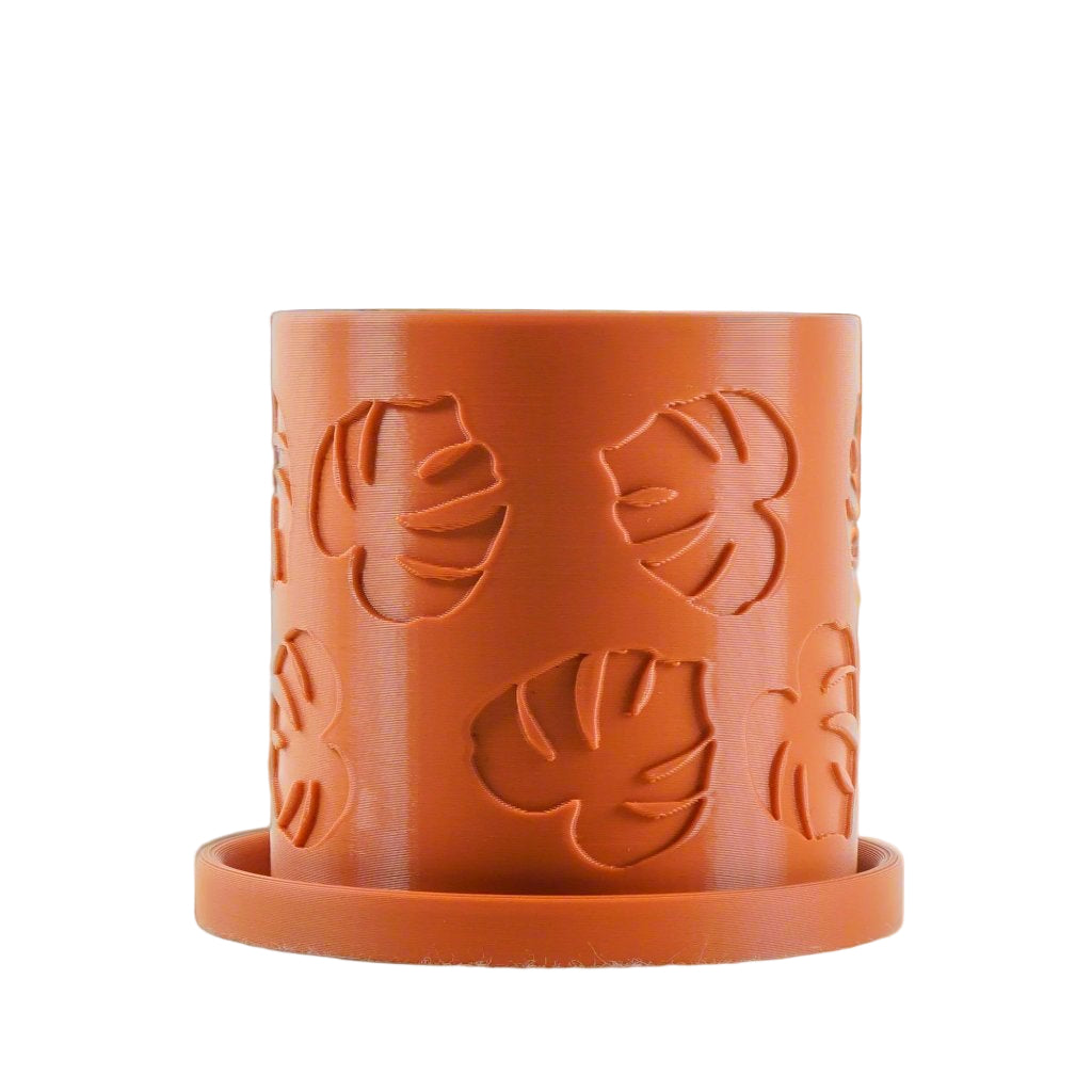 Monstera/Planter