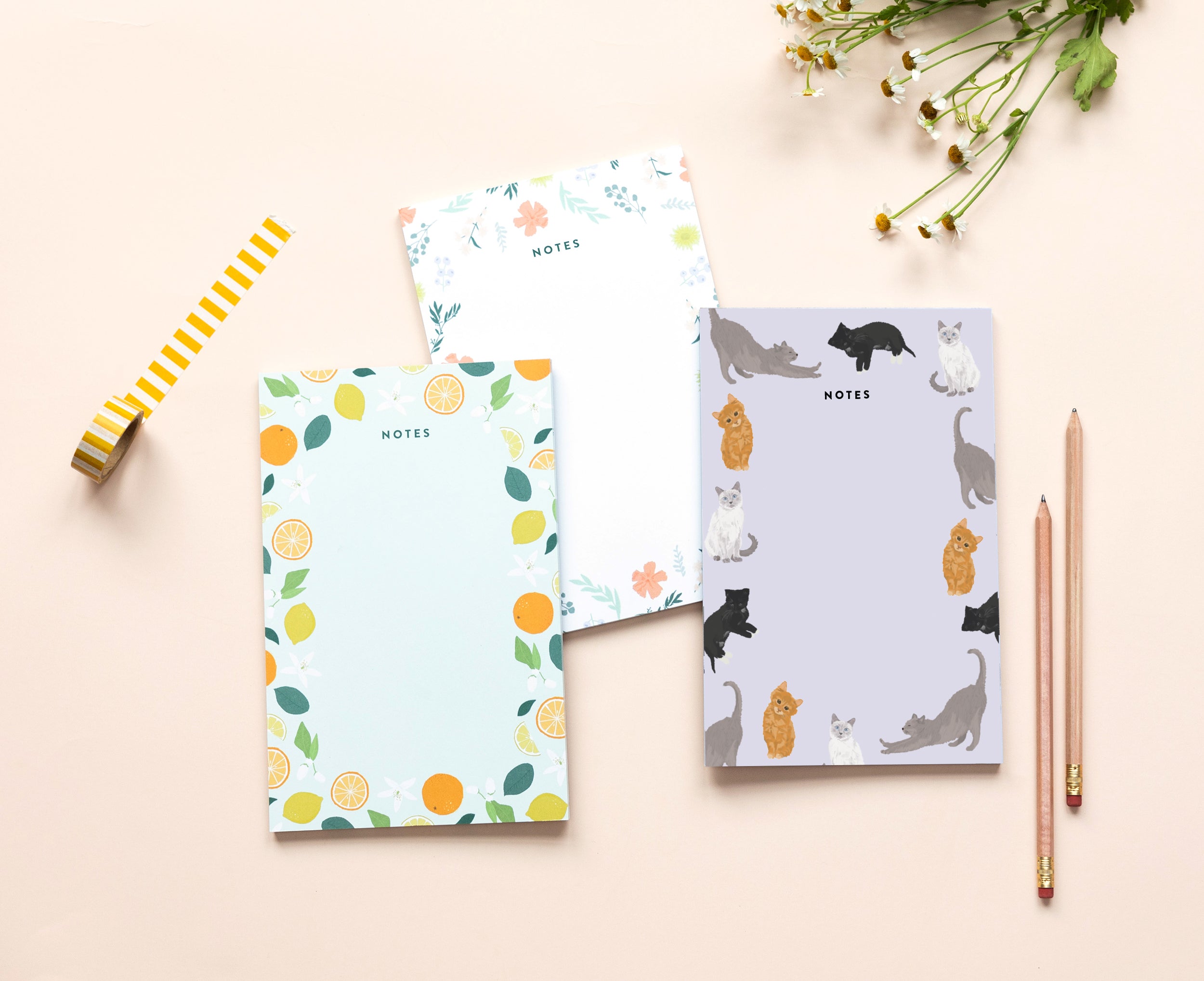 Notes/Notepad