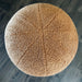 Druma/Pouf - ARCHDEKOR® LLC