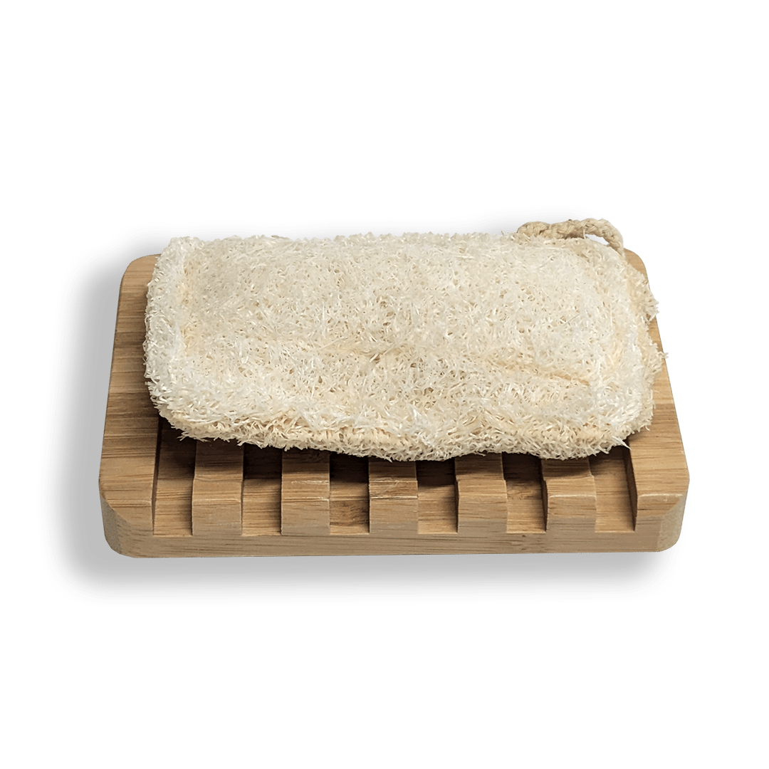 Self-Draining Soap Dish - ARCHDEKOR® LLC