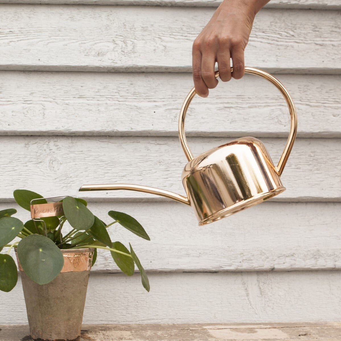 Watering/Can