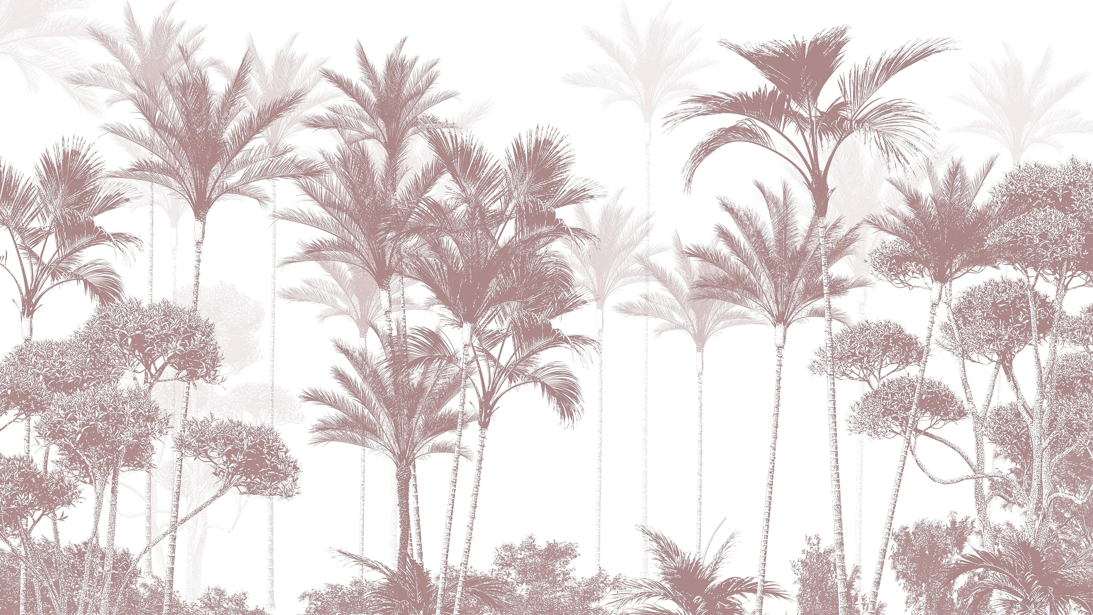 Palm/Foggy
