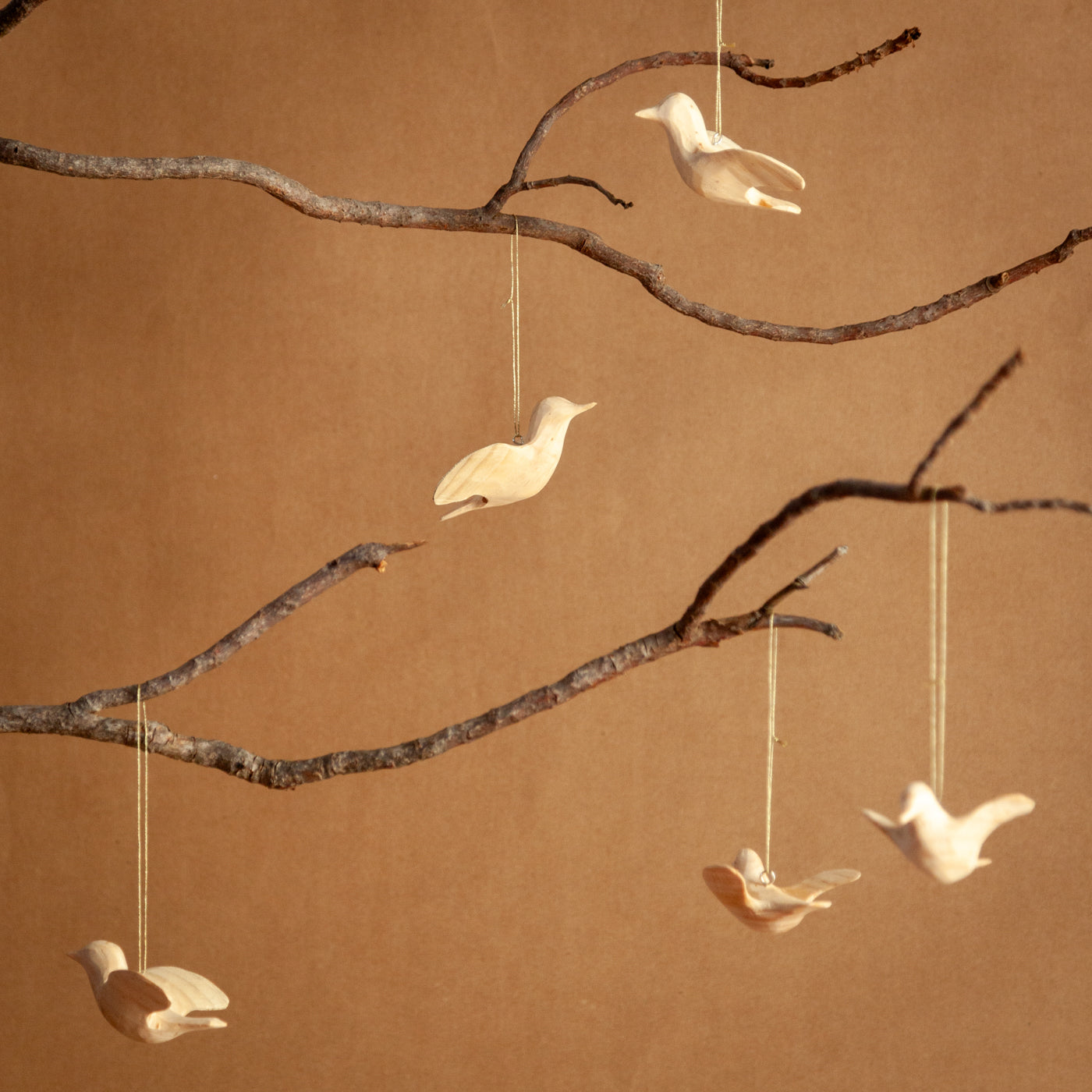 Wooden/Sunbird