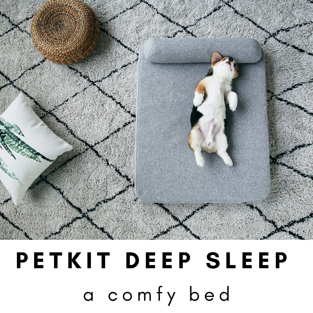 pet / bed