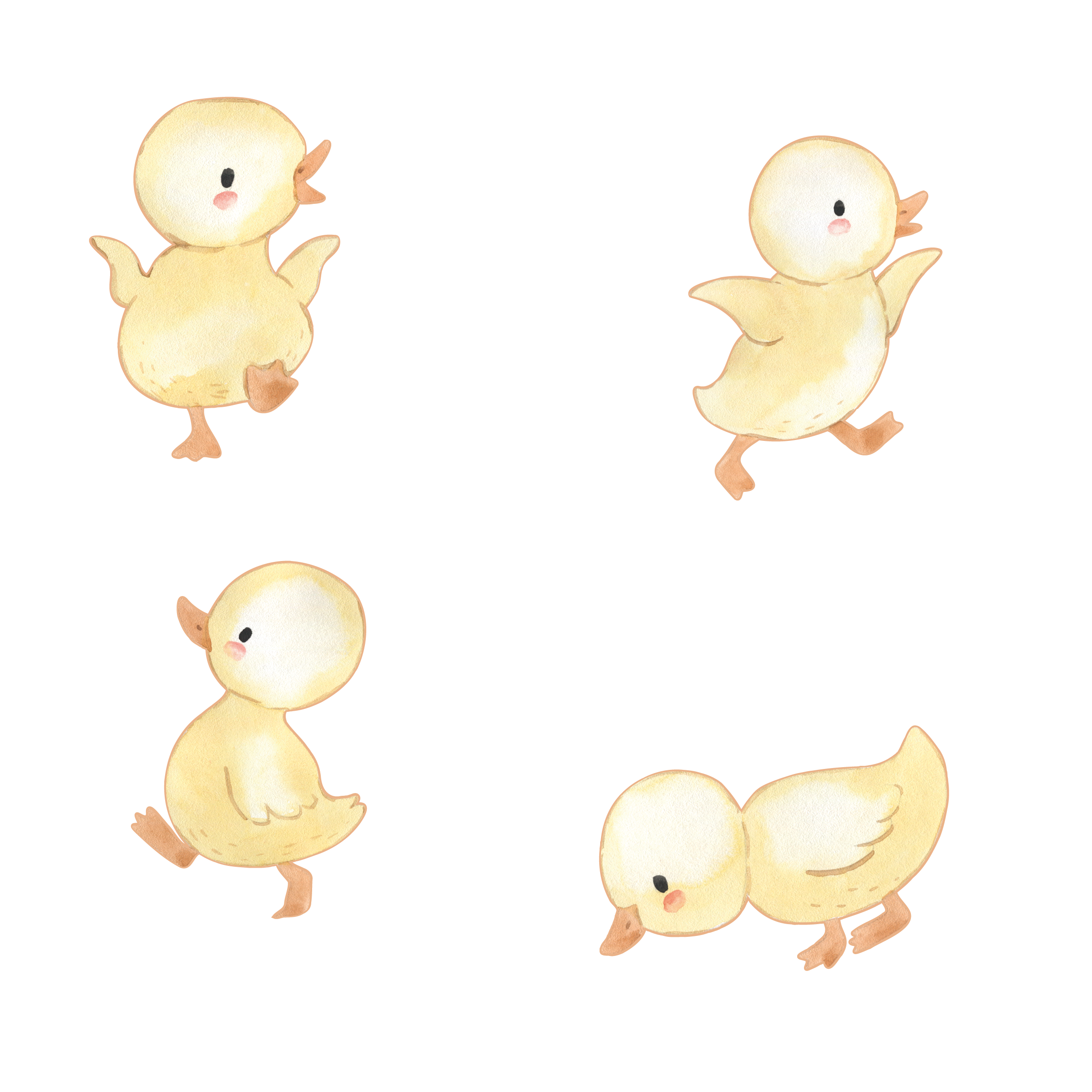 Ducklings/