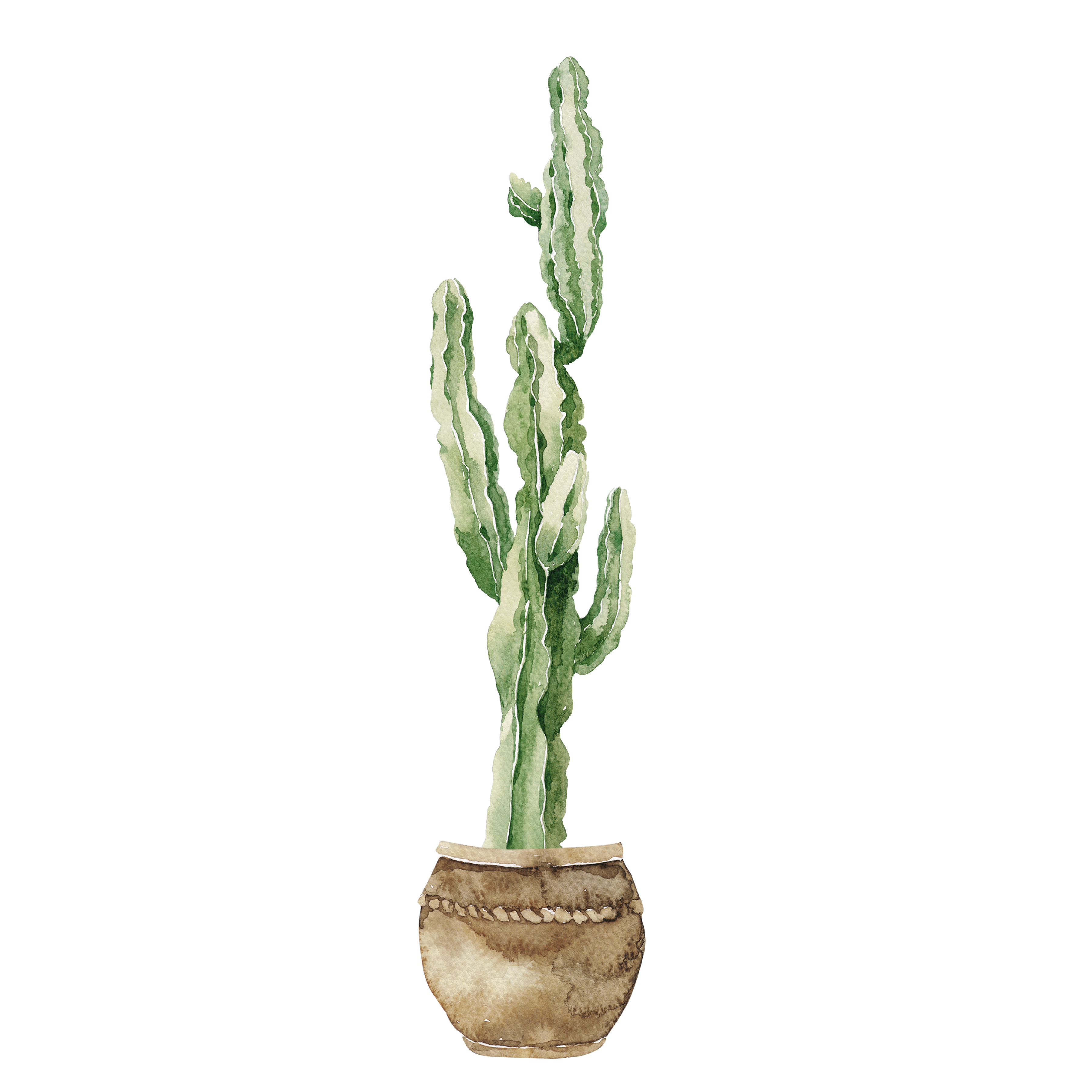 Cactus/Pot