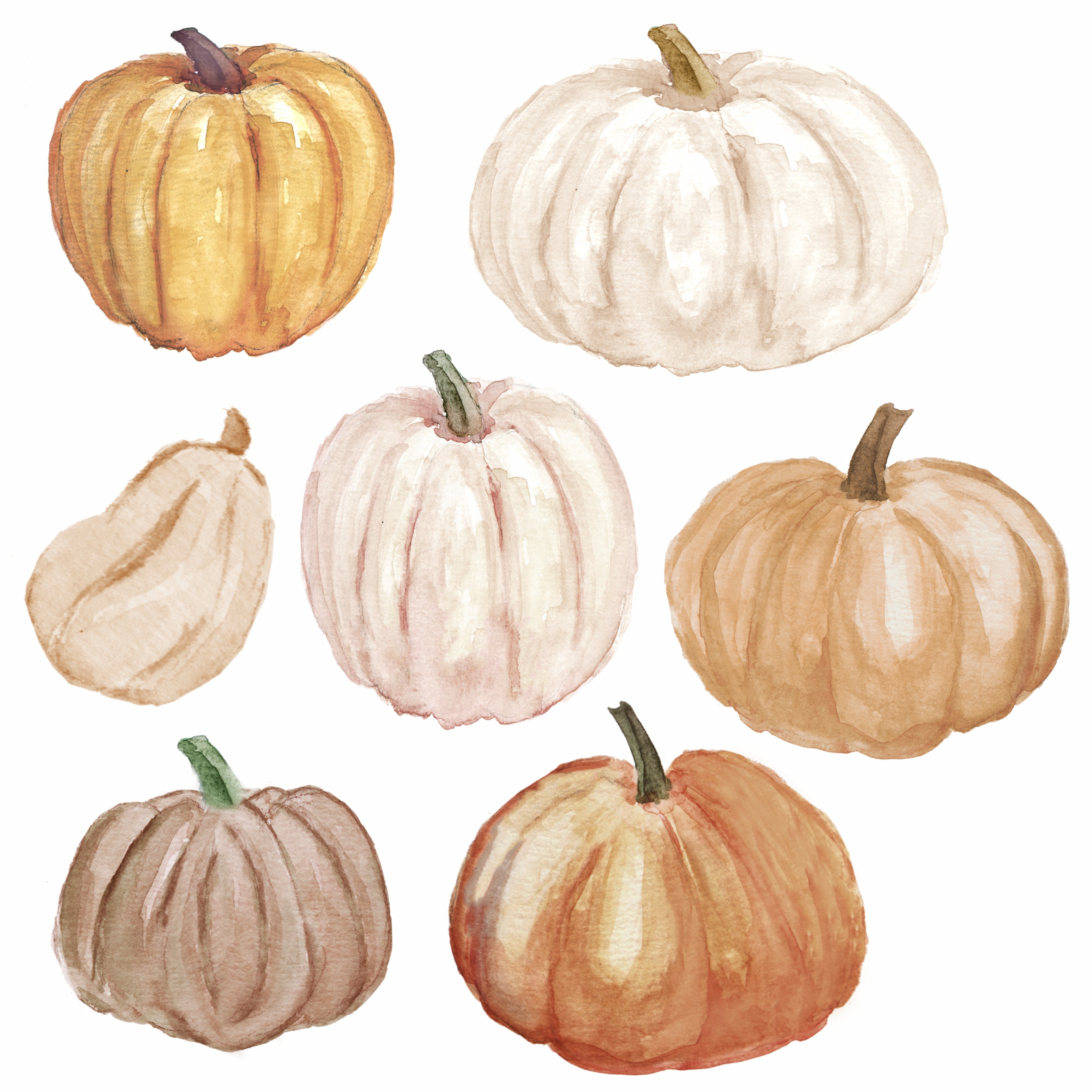 Watercolor/Pumpkins
