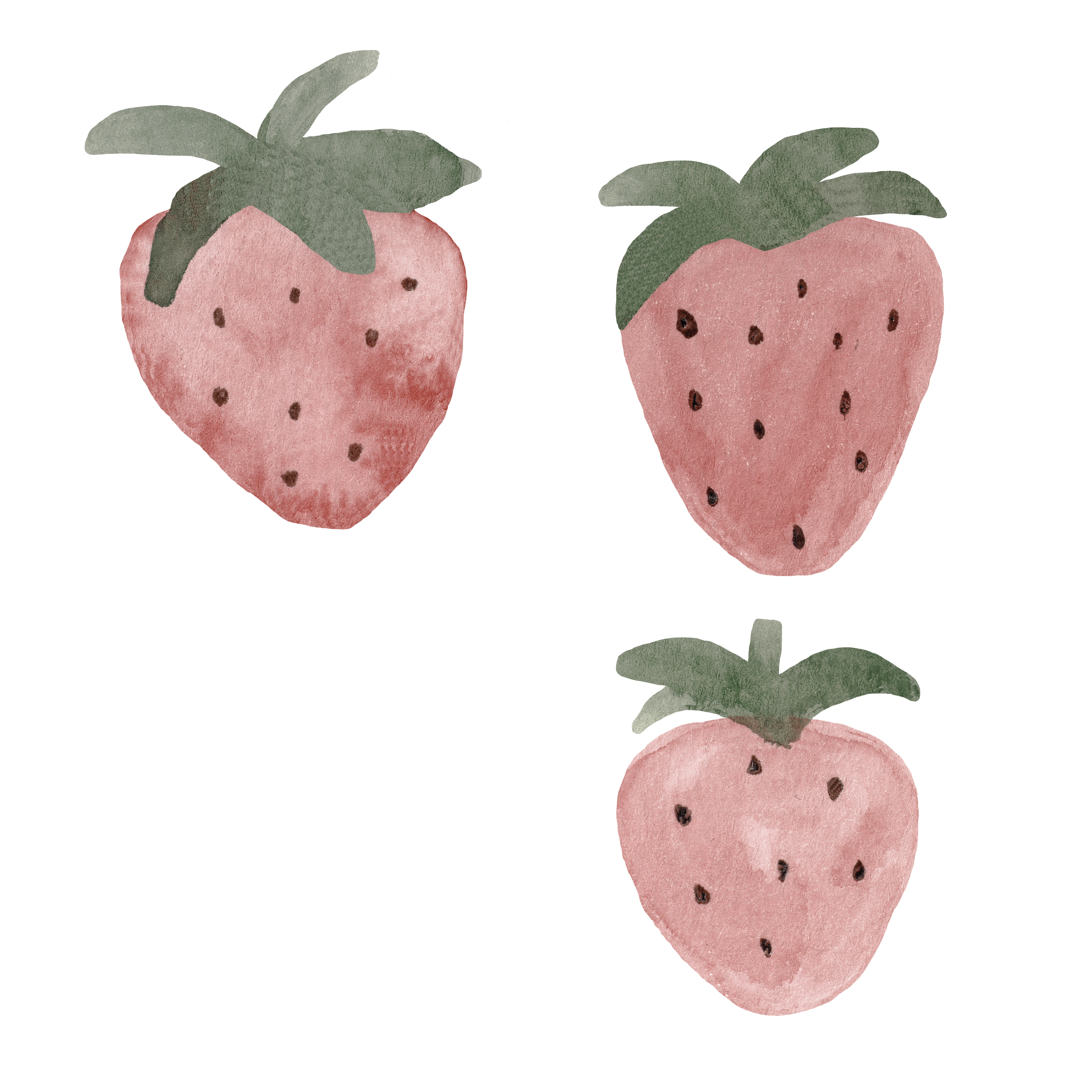 Strawberries/Muted