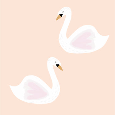 Swan/