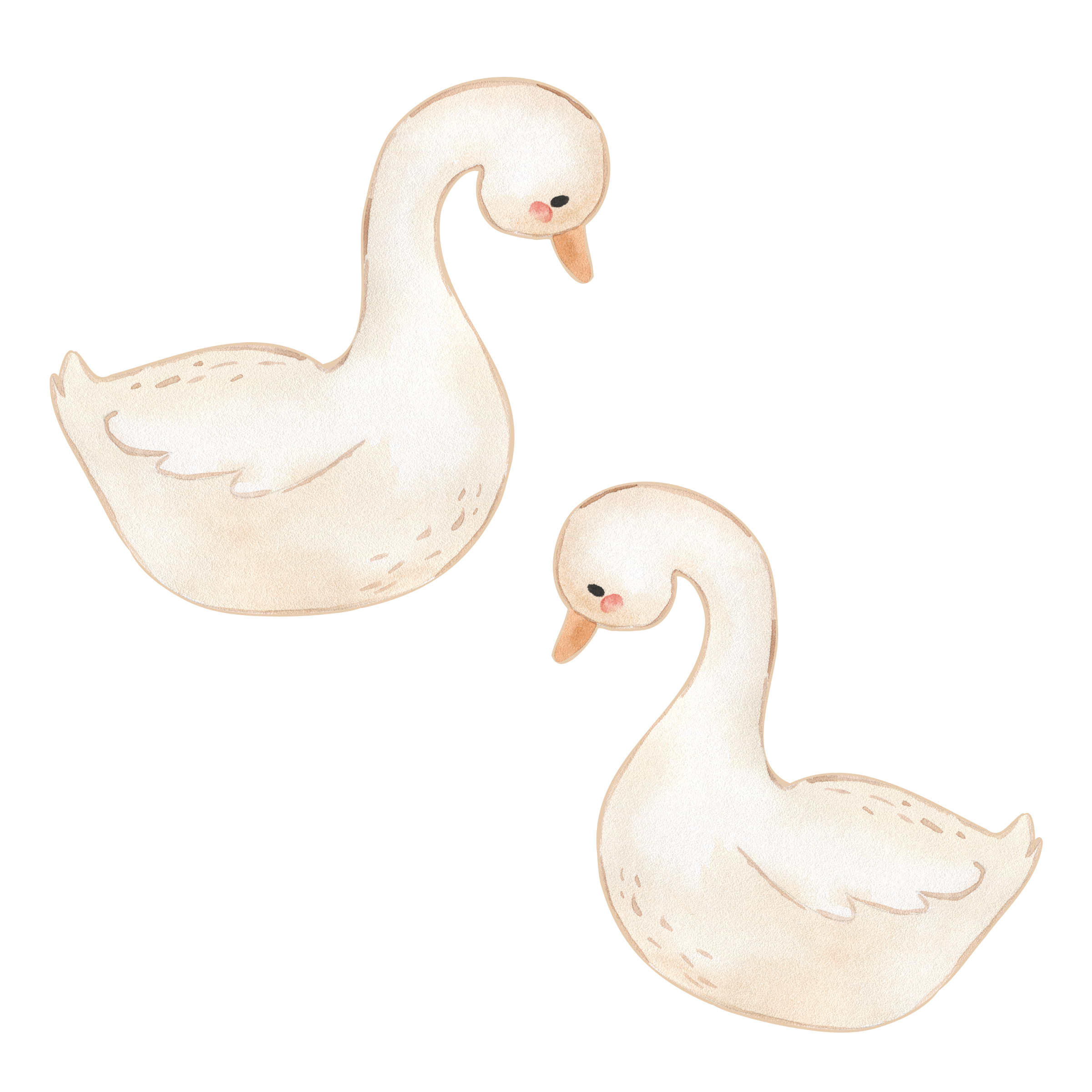 Swimming/Goose