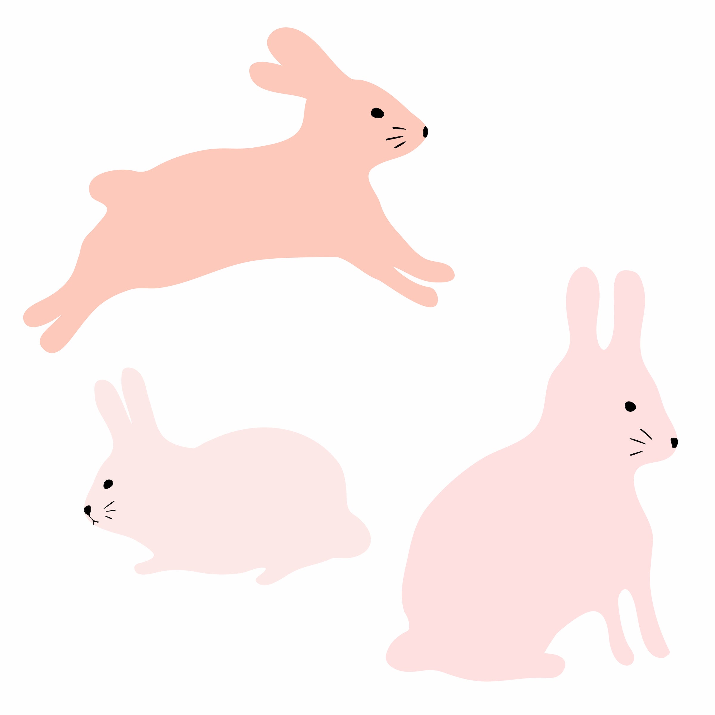 Bunny/Decal