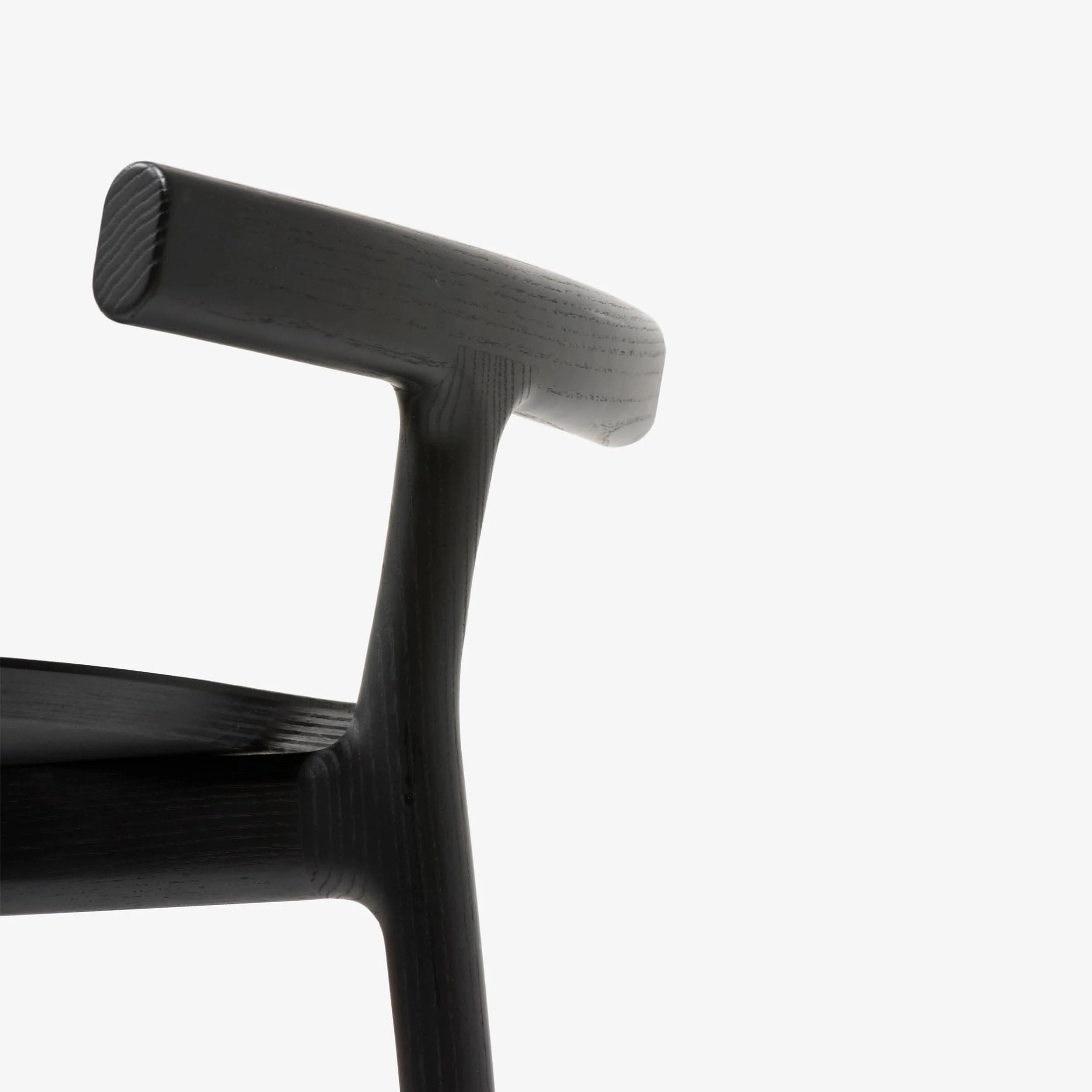 radice / - ARCHDEKOR™ LLC