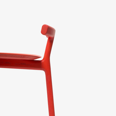 radice / - ARCHDEKOR™ LLC